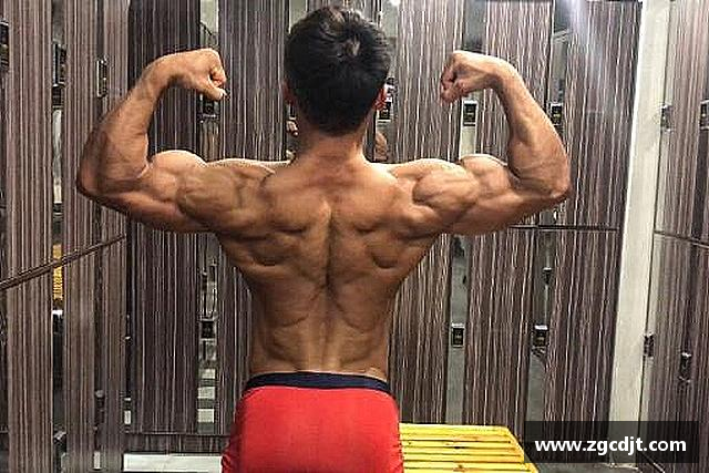 认识BSport必一
